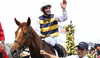 gailochopmackinnonstakes_630x368sp