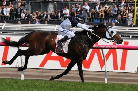 Tarzino-311015-7559-1024x680